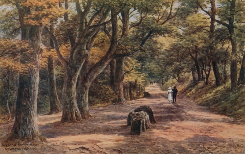 Weston-Super-Mare，Kewstoke Woods 作者 阿尔弗雷德·罗伯特·昆顿