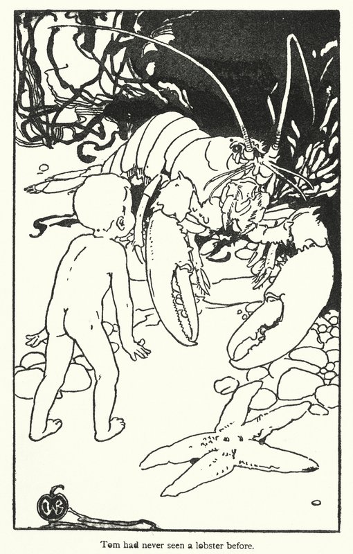 查尔斯-金斯利为《水宝宝》绘制的插图（石版画） 作者 爱丽丝·博林布鲁克（后）伍德沃德