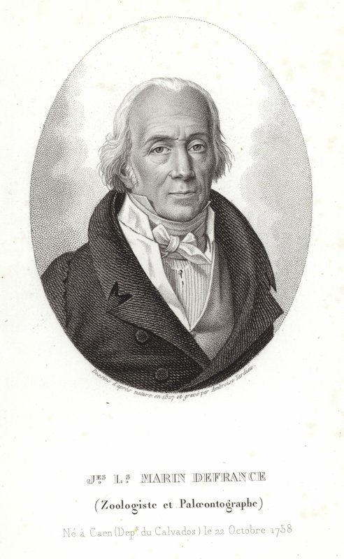 来自法国的Jacques-Louis Marin 作者 安布罗斯·塔迪厄（Ambroise Tardieu）