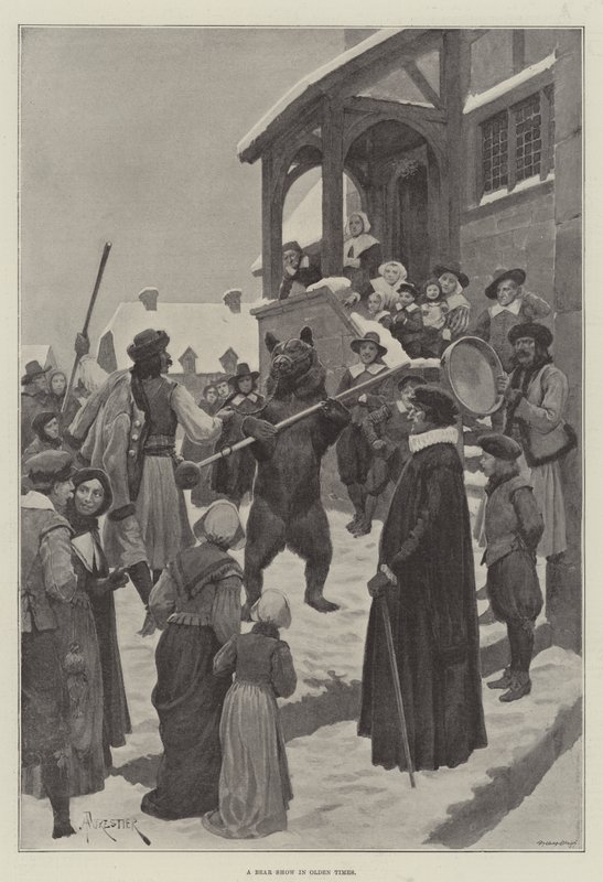 奥尔登时代的熊展 作者 阿梅迪·福雷斯蒂尔
