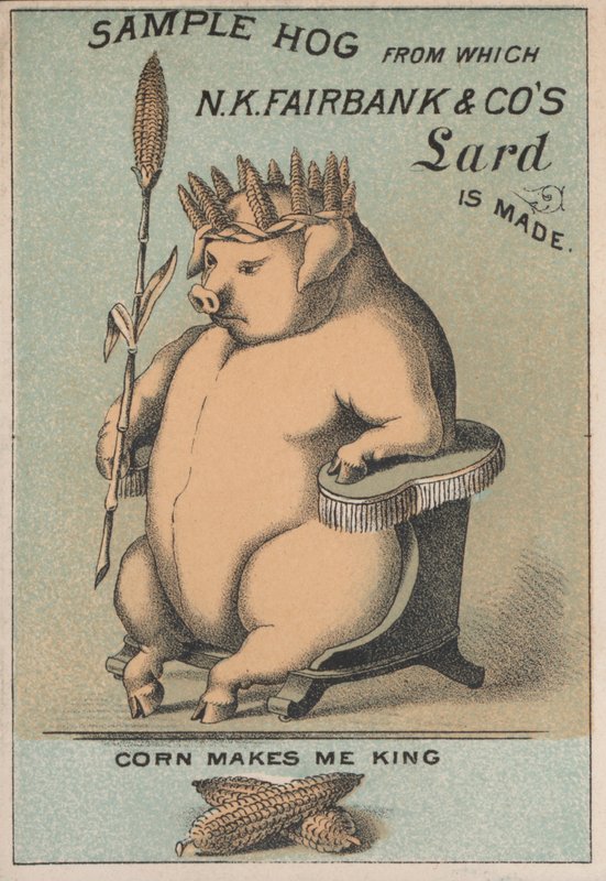 NK Fairbank＆Co&39;s lard的广告 作者 美国学校