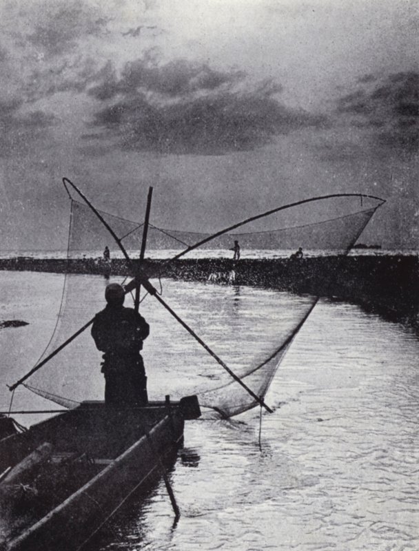 A Japanese fisherman drawing his net (b/w photo) 作者 美国摄影师（后）