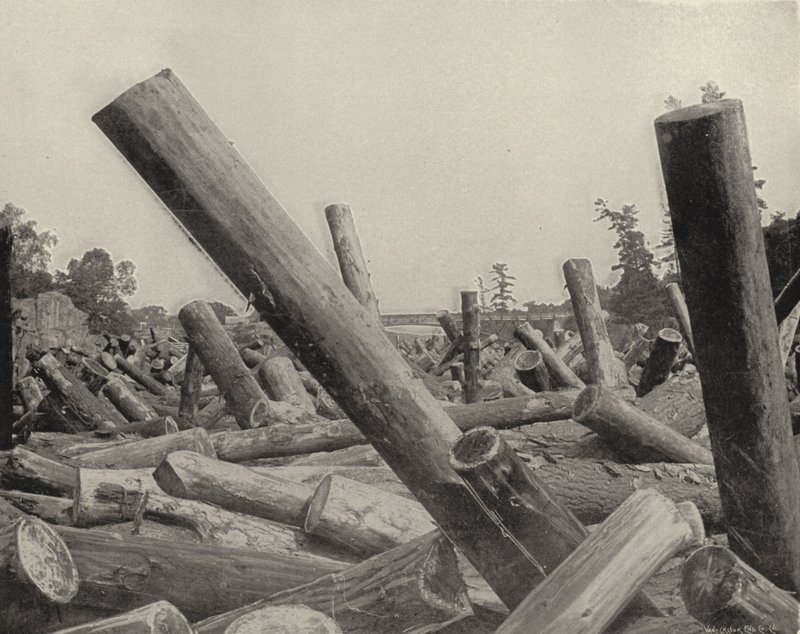 A Log Jam in St Croix River, Wisconsin (b/w photo) 作者 美国摄影师（后）