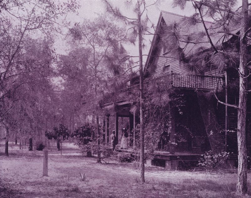 A home in the shades of Southern Pines, Florida (b/w photo) 作者 美国摄影师（后）