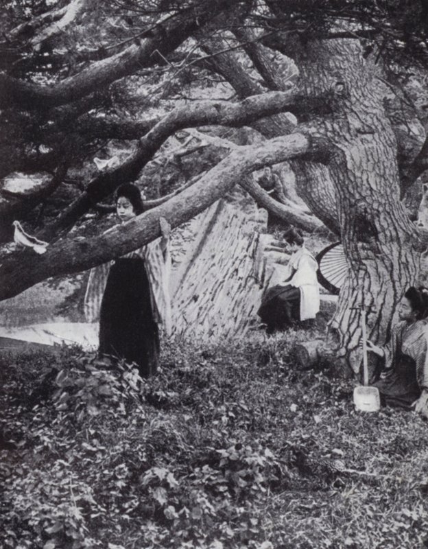 Gadis-gadis Jepang di antara pohon-pohon pinus tua di samping parit kekaisaran kuno di Tokio (foto b/w) 作者 美国摄影师（后）