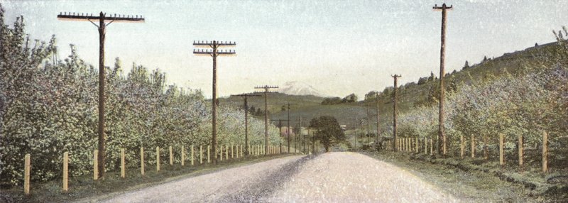 俄勒冈州：胡德河谷的一条道路（照片） 作者 美国摄影师（后）