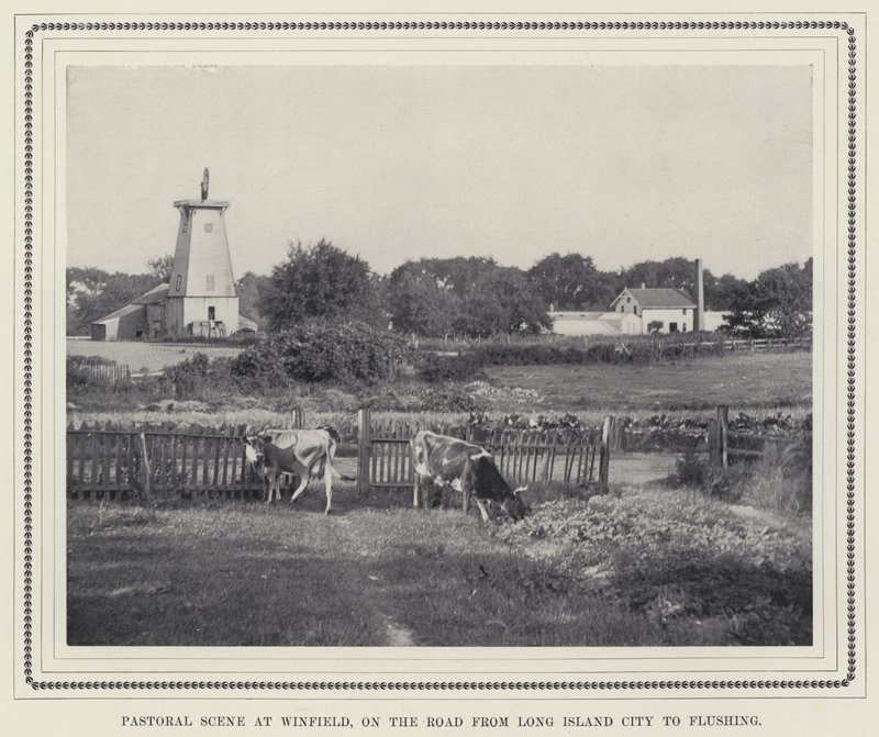 Pastoral Scene at Winfield, on the Road from Long Island City to Flushing (b/w photo) 作者 美国摄影师