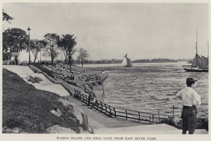 Ward