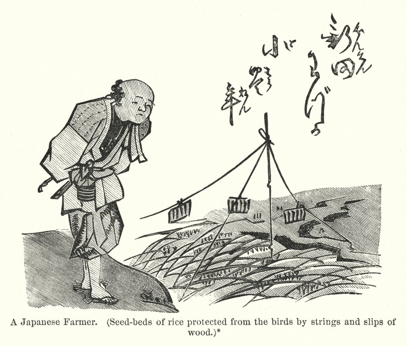 一个日本农民，用绳索和木片保护水稻的种子不被鸟吃掉（雕刻）。 作者 美国学校