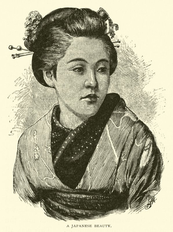 日本的美女 作者 美国学校