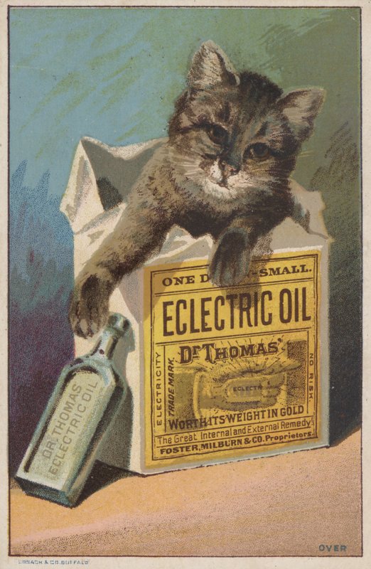 托马斯博士的广告“Eclectric Oil 作者 美国学校