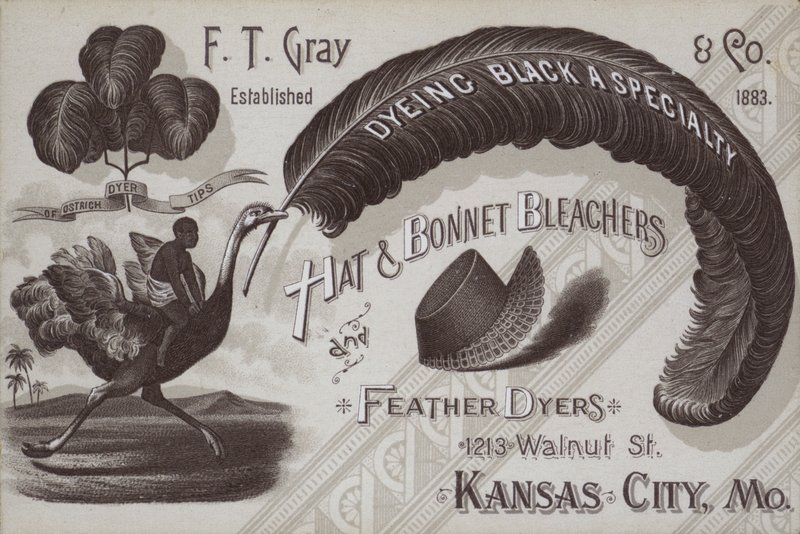 美国密苏里州堪萨斯城 F T Gray、帽子和帽子漂白剂和羽毛染色剂的广告（石版印刷） 作者 美国学校