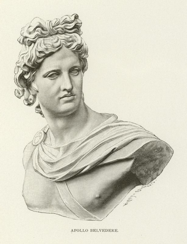 Apollo Belvedere 作者 美国学校