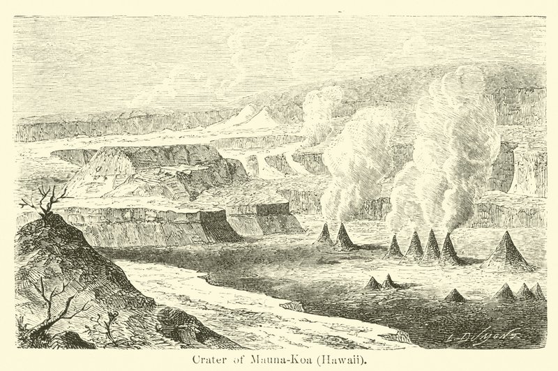 Mauna-Koa火山口，夏威夷 作者 美国学校