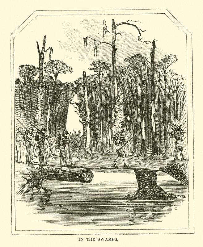 在沼泽地，1863年3月 作者 美国学校