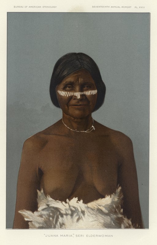Juana Maria，Seri Elderwoman 作者 美国学校