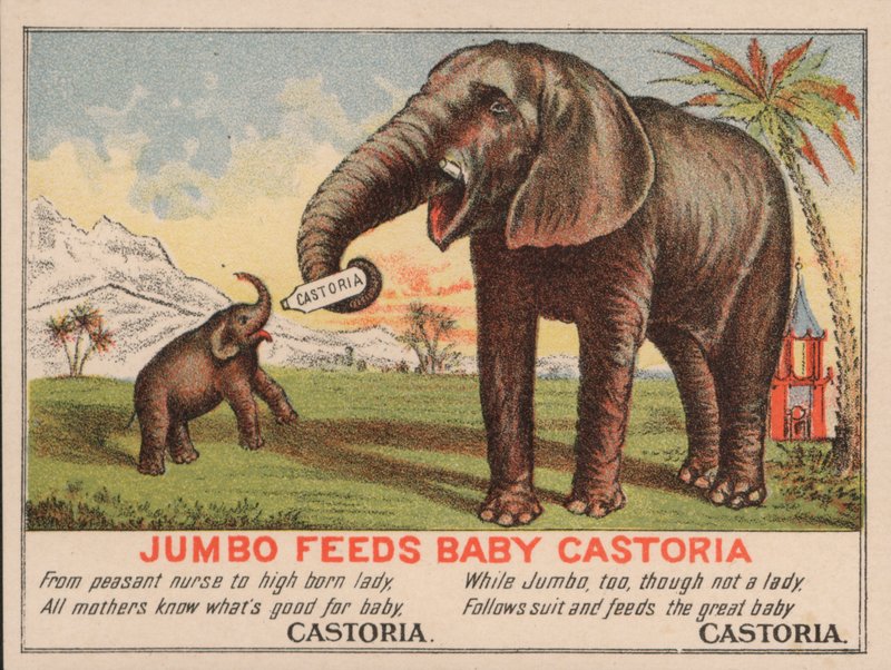 Jumbo喂婴儿Castoria，Fletcher&39;s Castoria医学广告，以PT Barnum着名的马戏团大象为特色 作者 美国学校