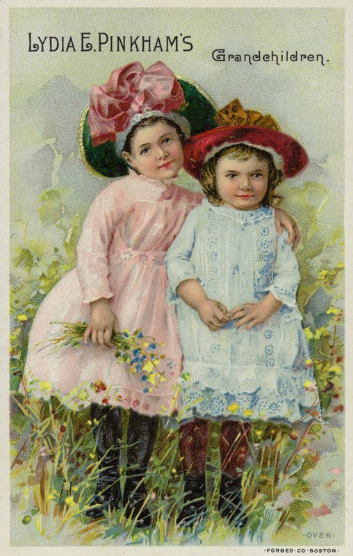 Lydia E Pinkhams孙子 作者 美国学校