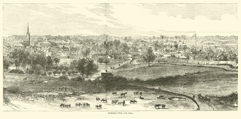 纳奇兹在山上，1862年5月 作者 美国学校