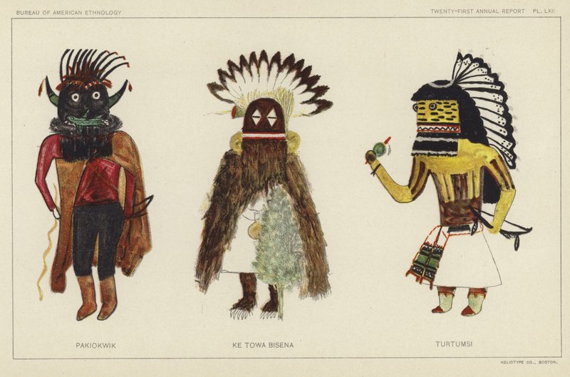Pakiokwik、Ke Towa Bisena、Turtumsi（彩色石版画） 作者 美国学校
