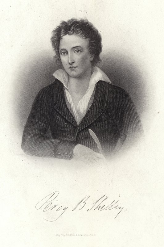 Percy Bysshe Shelley的肖像 作者 美国学校