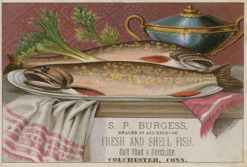 SP Burgess，交易卡 作者 美国学校