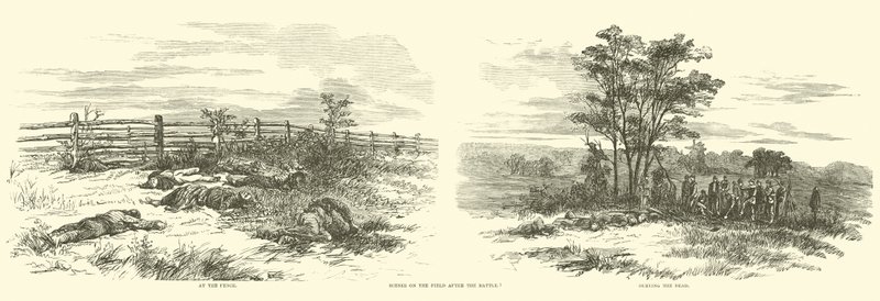 战斗结束后的场地，1862年9月 作者 美国学校