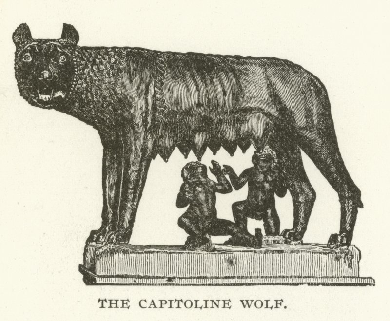 Capitoline Wolf 作者 美国学校