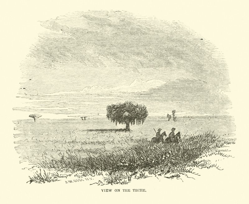 查看Teche，1863年4月 作者 美国学校