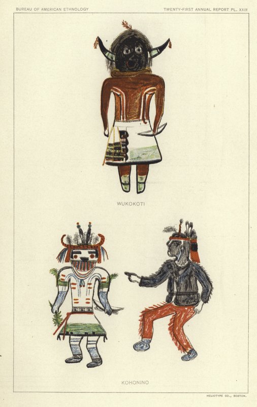 伍科科蒂，科霍尼诺（彩色石版画） 作者 美国学校