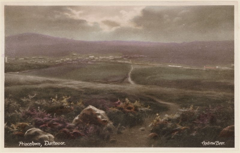  作者 安德鲁·比尔