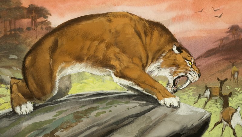 剑齿虎外出狩猎 作者 安格斯·麦克布莱德