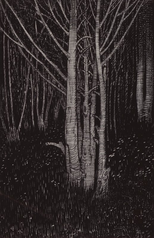 Mydnyght was cum (litho) 作者 亚瑟·乔治·沃茨（Arthur George Watts）