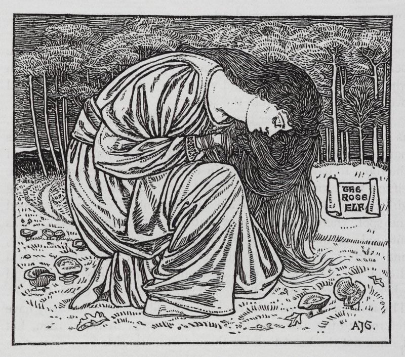 Hans Christian Andersen: The Rose Elf (litho) 作者 亚瑟·约瑟夫·加斯金