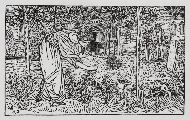 Hans Christian Andersen: The Wild Swans (litho) 作者 亚瑟·约瑟夫·加斯金