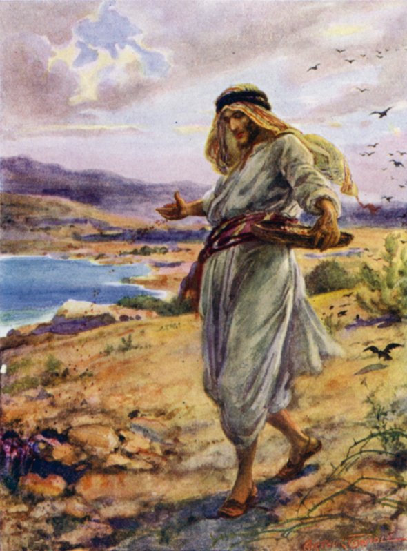 The sower (colour litho) 作者 亚瑟·特威德