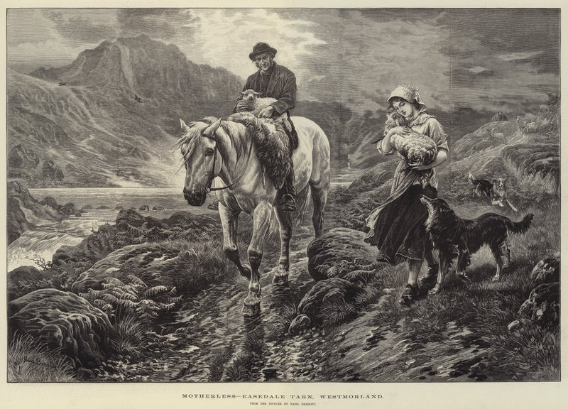 无母，Easedale Tarn，Westmorland 作者 罗勒·布拉德利