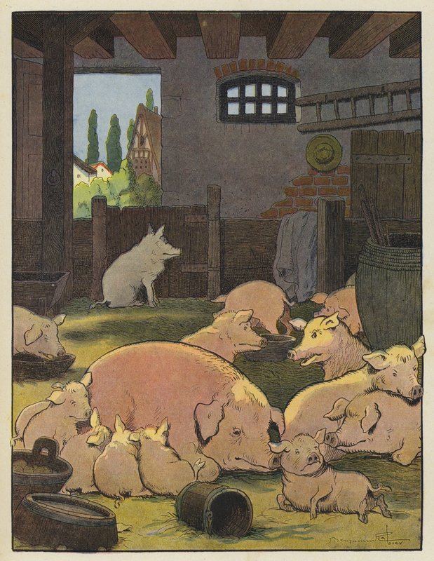 猪在猪圈 作者 本杰明·拉比尔