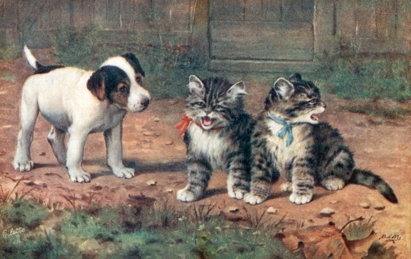 猫明信片（彩色平版） 作者 伯纳德·科布
