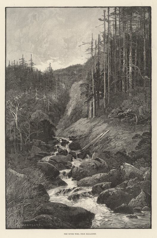 River Torc，靠近基拉尼 作者 查尔斯·奥古斯特·洛伊