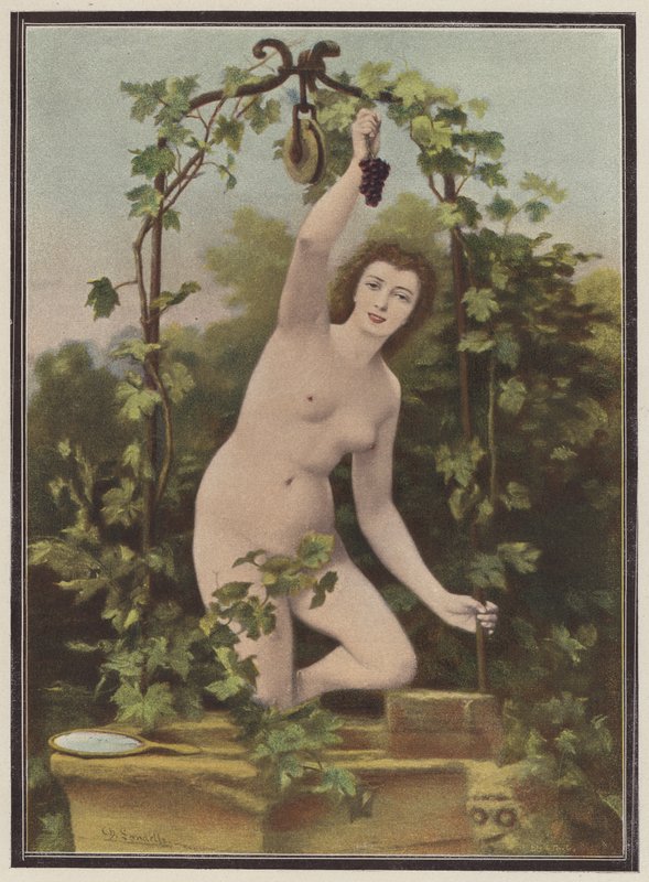 从葡萄藤上摘葡萄的妇女（彩色石版画） 作者 查尔斯（后）兰德尔