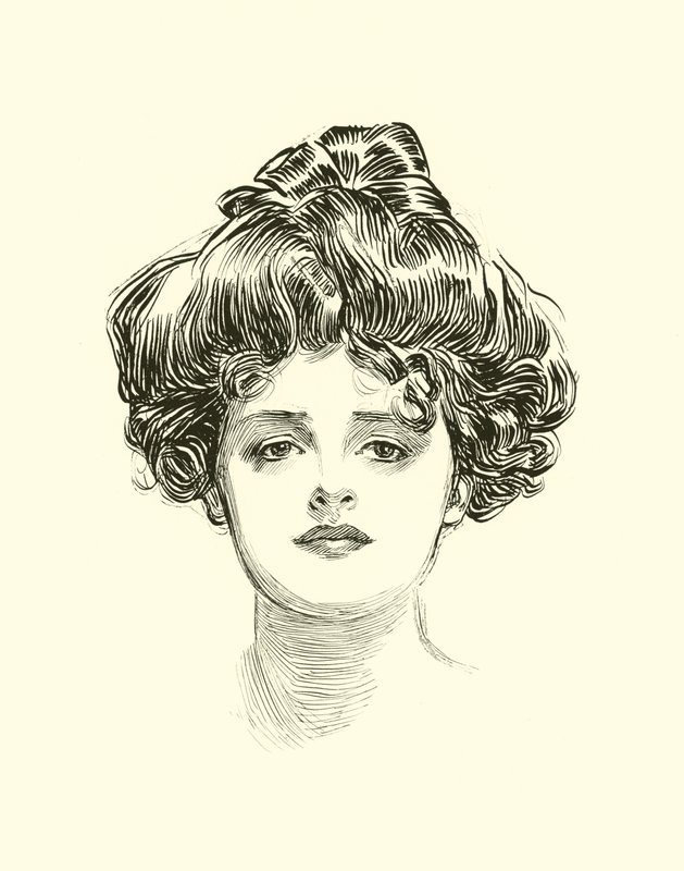社会阶梯的插图 作者 查尔斯·达纳·吉布森