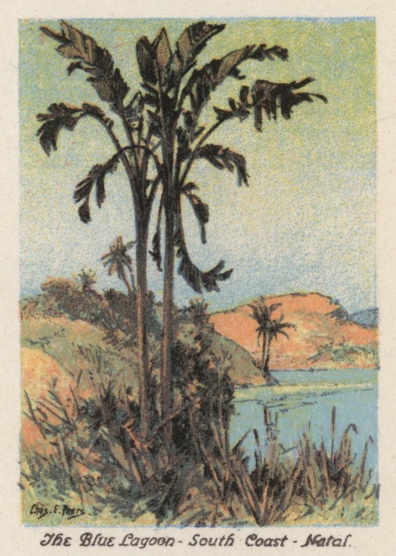 南非：蓝湖，纳塔尔南部海岸（彩色石版画） 作者 查尔斯·欧内斯特·皮尔斯