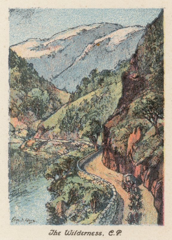 南非：荒野》，CP（彩色印刷版） 作者 查尔斯·欧内斯特·皮尔斯