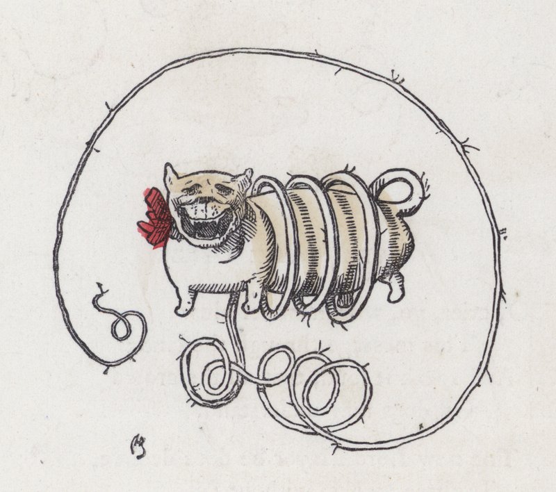 Dog with a very long curly tail (coloured engraving) 作者 查尔斯·亨利（后）贝内特