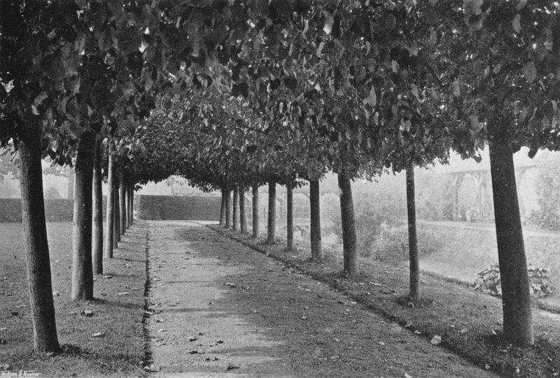 Pleached Walk（黑白照片） 作者 查尔斯·拉瑟姆（Charles Latham）