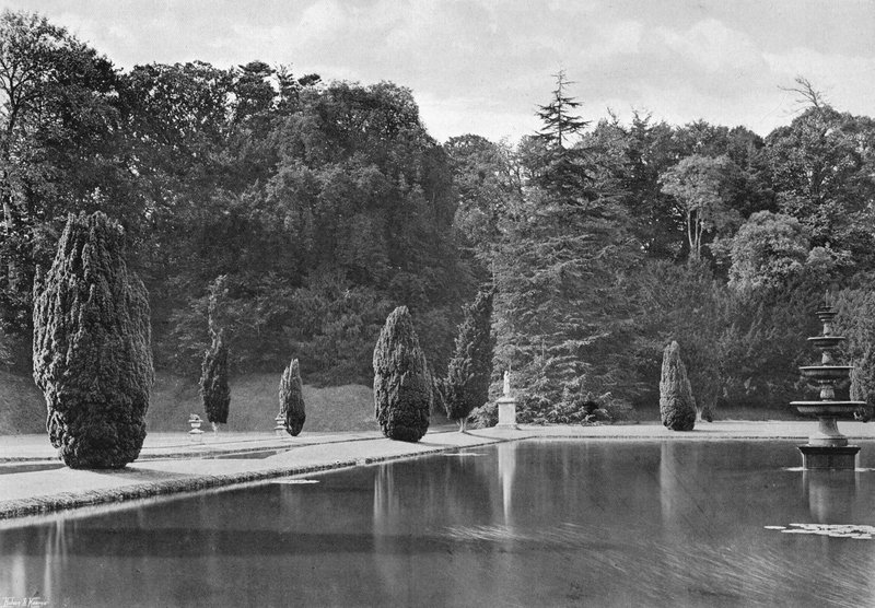 The Shadow of a Yew (b/w photo) 作者 查尔斯·拉瑟姆（Charles Latham）