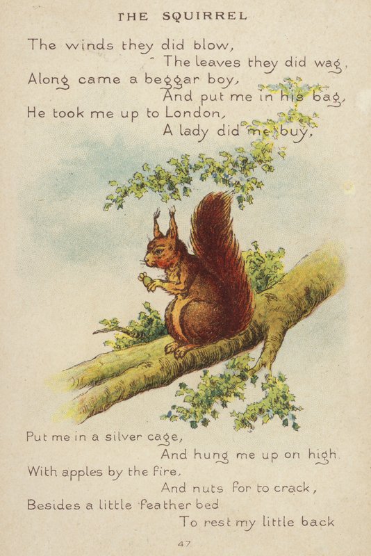 Nursery rhyme: The Squirrel (chromolitho) 作者 康斯坦斯·哈斯伍德