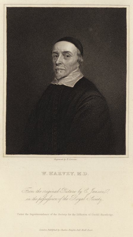 威廉哈维 作者 科尼利厄斯·詹森·范·科伦（Cornelius Janssen van Ceulen）