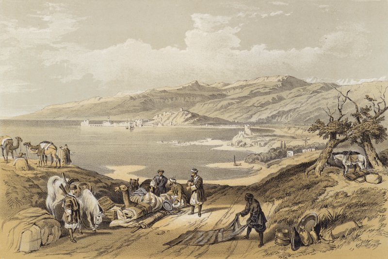 Sidon looking towards Lebanon (colour litho) 作者 大卫（后）罗伯茨